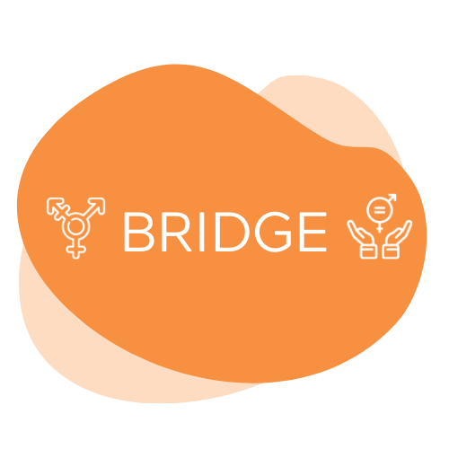 BRIDGE Logo modif txt 1